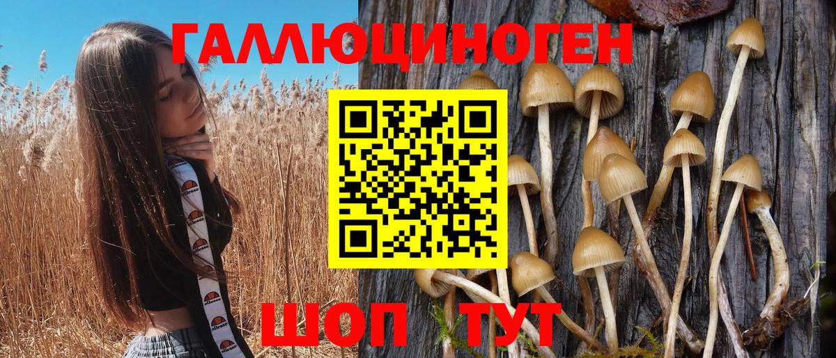 Дивногорск  Галлюциногенные грибы GOLDEN TEACHER  Вход с VPN 